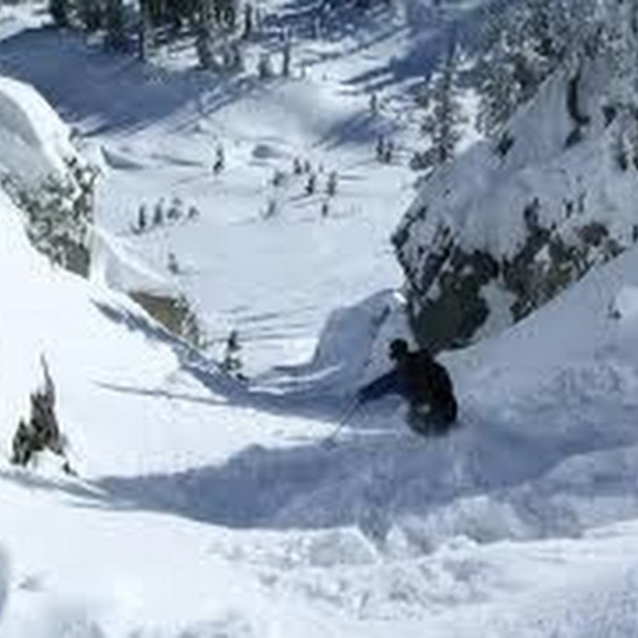 Meet your Posher, Logan - Picture 1 of 1